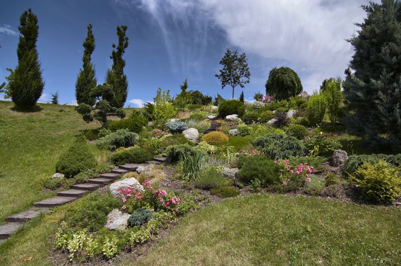Terraced Garden with Rocks