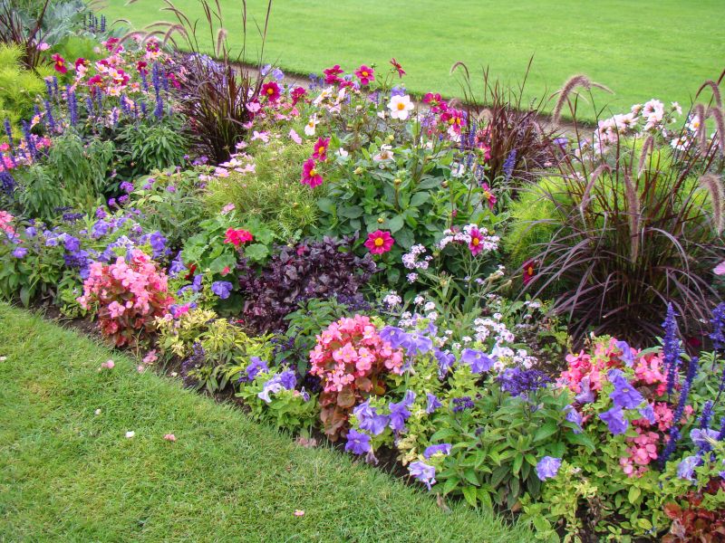 Perennial Flower Planting