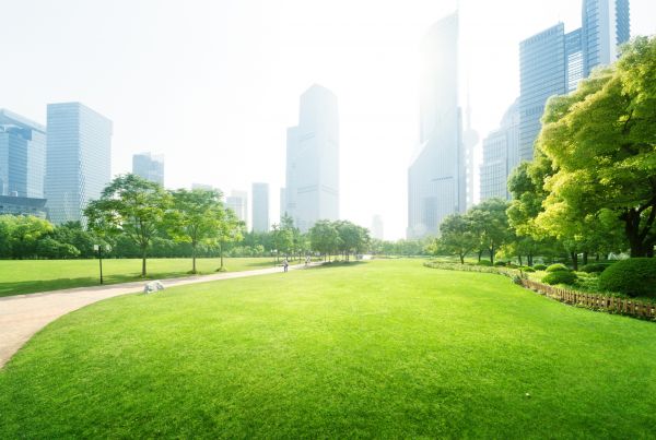 Commercial Landscape Maintenance in Bend