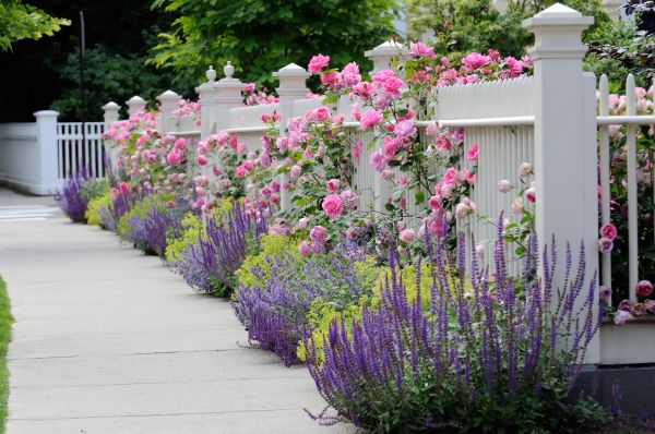 Garden Handyman Service in Bend