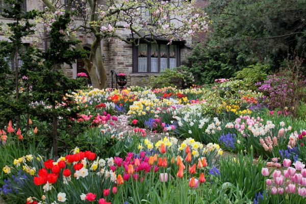 Garden Maintenance Service in Bend
