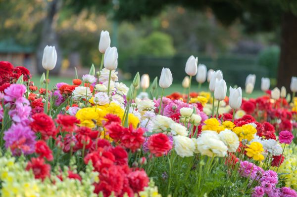 Gardening Service in Bend
