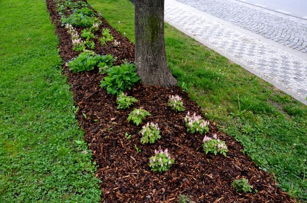 Mulch Replacement Service in Bend