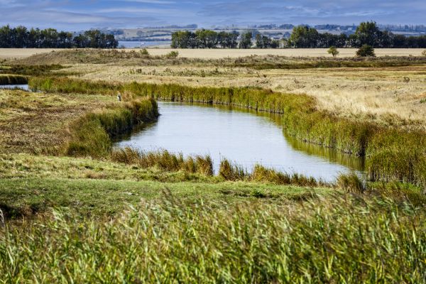 Swale Landscaping in Bend