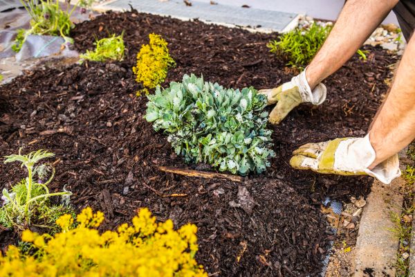 Weeding And Mulching in Bend