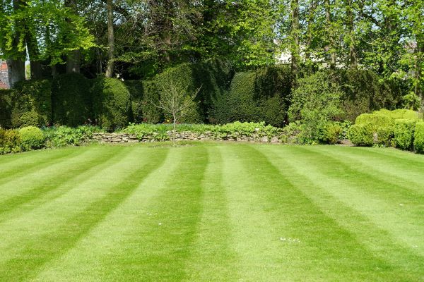 Lawn Renovation in Bend