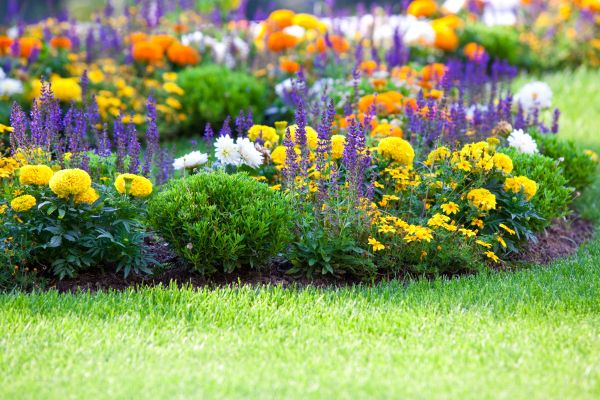 Garden Installation in Bend
