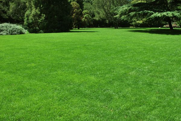 Lawn Landscaping in Bend