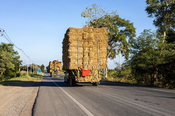Pine Straw Delivery in Bend