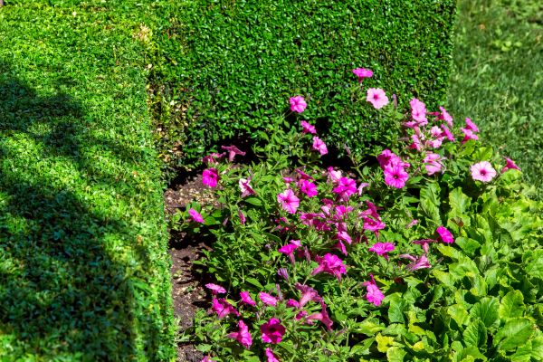 Softscaping Service in Bend