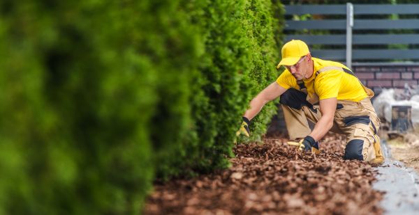Cypress Mulch Installation in Bend