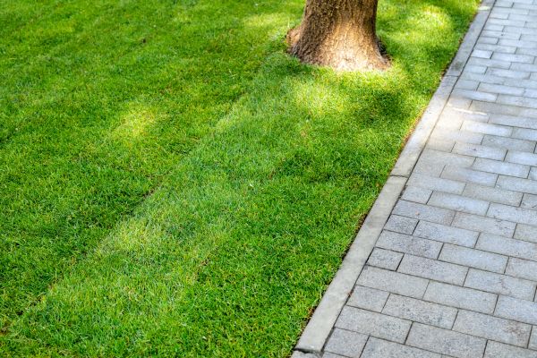 Border Stone Installation in Bend