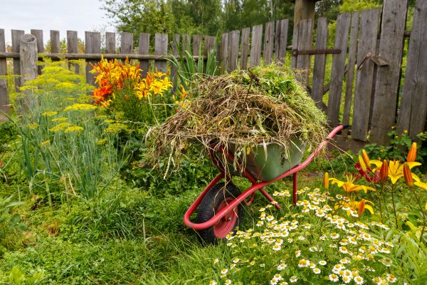 Garden Cleanup Service in Bend