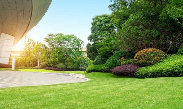 Business Landscape Design in Bend