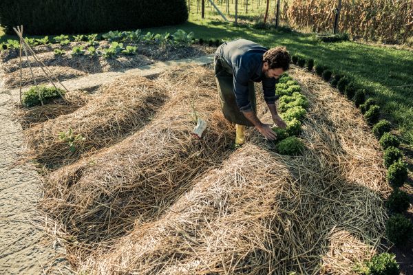 Straw Mulching Service in Bend