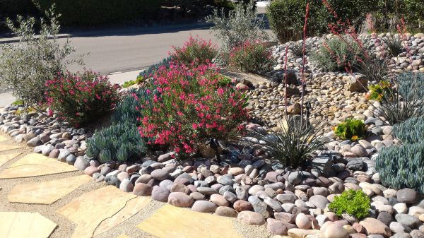 Xeriscape Landscaping in Bend