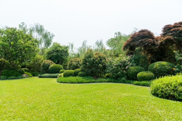 Tree Landscaping in Bend