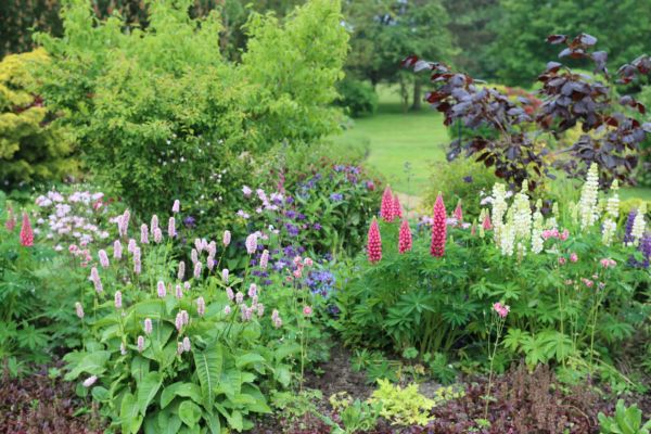Flower Bed Planting in Bend