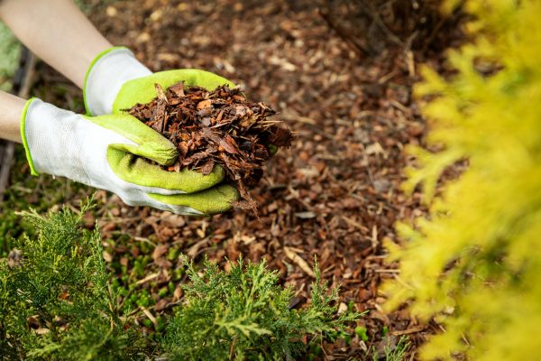 Garden Mulch Delivery in Bend