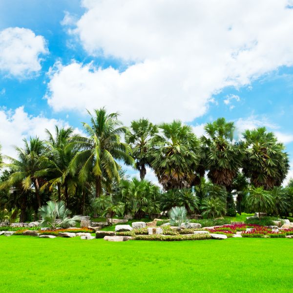 Tropical Landscaping in Bend