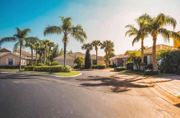 Palm Tree Landscaping in Bend