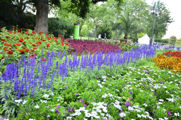 Perennials Planting in Bend