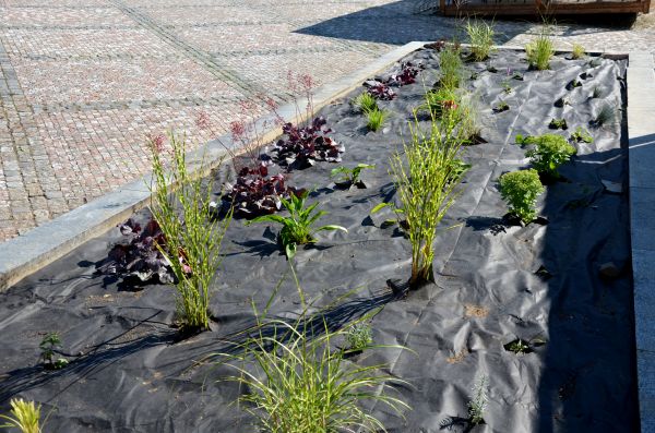 Landscape Fabric Installation in Bend