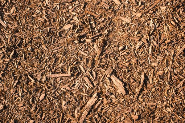Wood Chips Removal in Bend