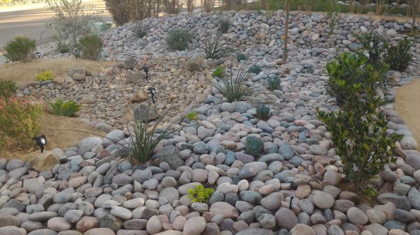 Yard Xeriscaping in Bend