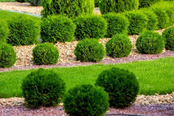 Bush Replacement in Bend
