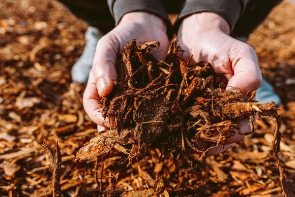 Bark Chips Delivery in Bend