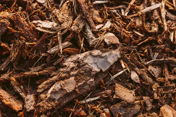 Bark Mulch Delivery in Bend