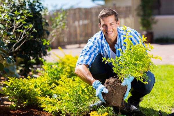 Shrub Landscaping in Bend