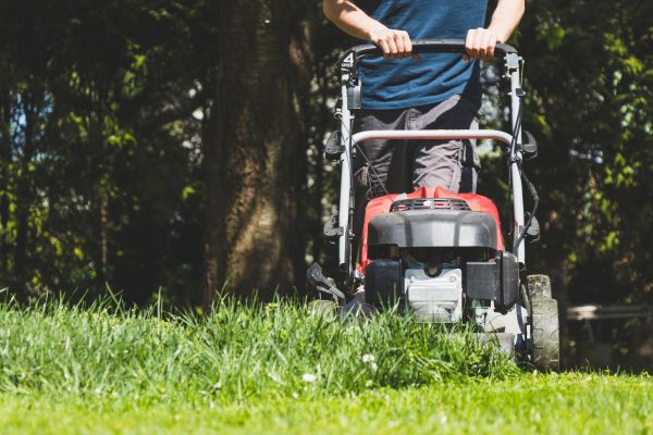 Garden Trimming Service in Bend