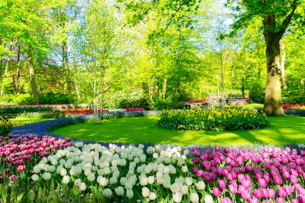 Flower Landscaping in Bend