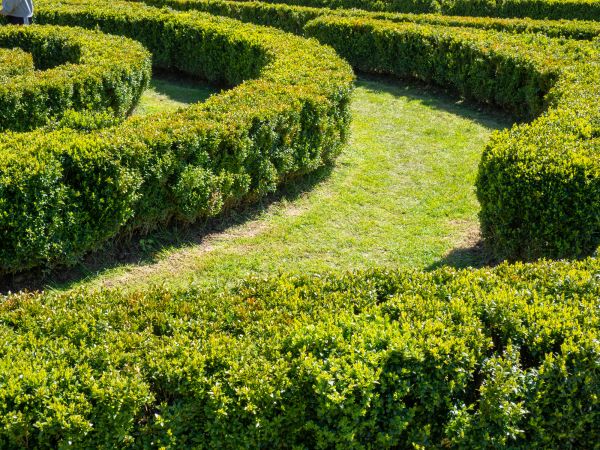 Bush Landscaping in Bend