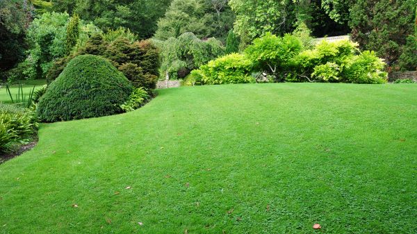 Commercial Landscape Design in Bend
