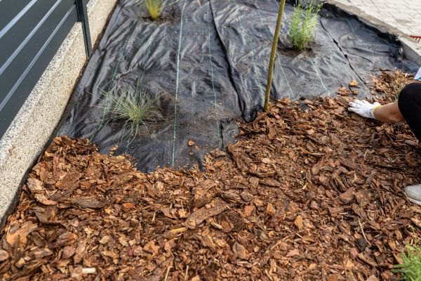 Pine Bark Spreading in Bend