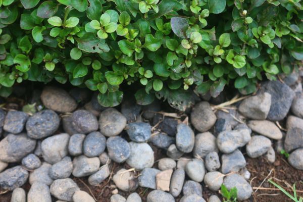 River Stone Installation in Bend