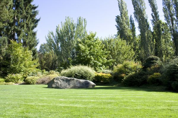 Yard Enlargement in Bend