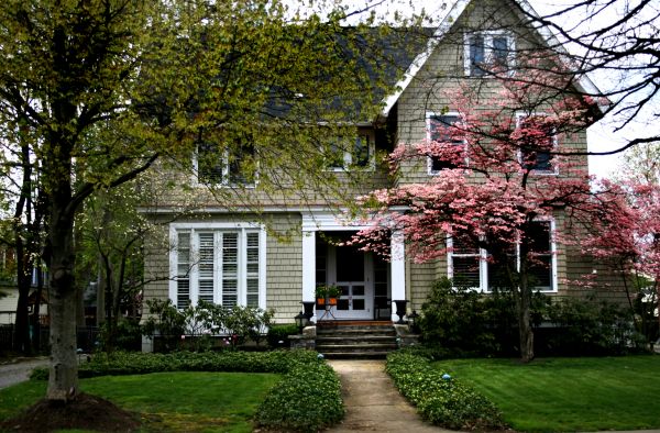 Ornamental Tree Planting in Bend