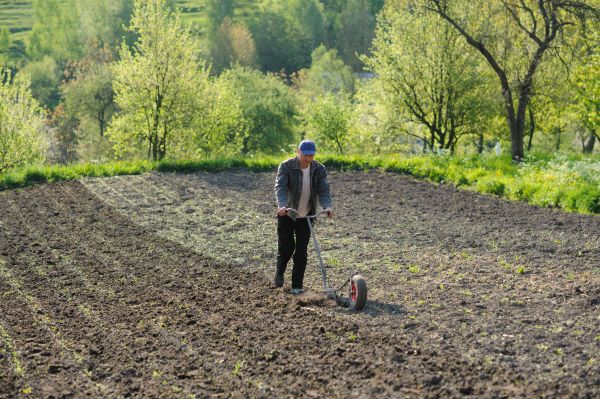 Plant Bed Weeding in Bend