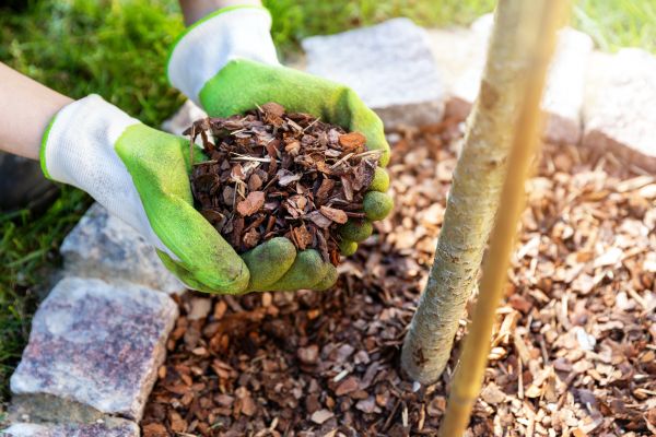 Tree Bark Delivery in Bend