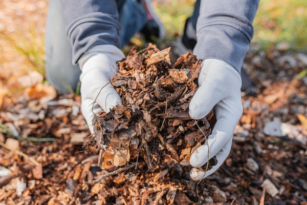 Shredded Mulch Installation in Bend