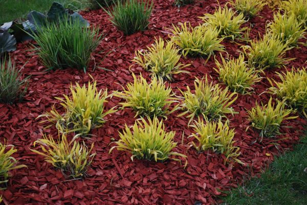 Red Mulch Installation in Bend