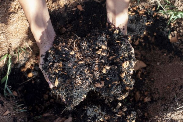 Organic Mulch Installation in Bend