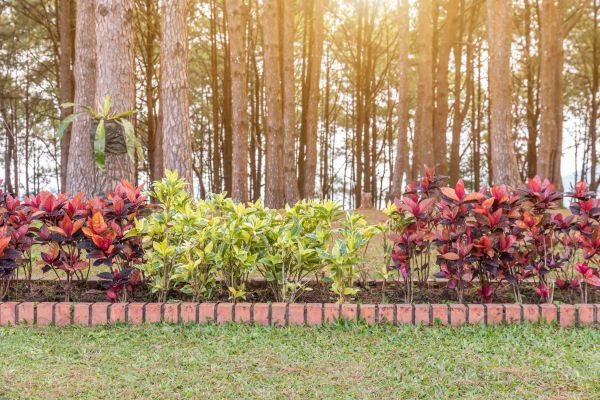 Small Garden Landscaping in Bend
