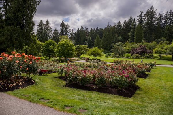 Flower Garden Landscaping in Bend