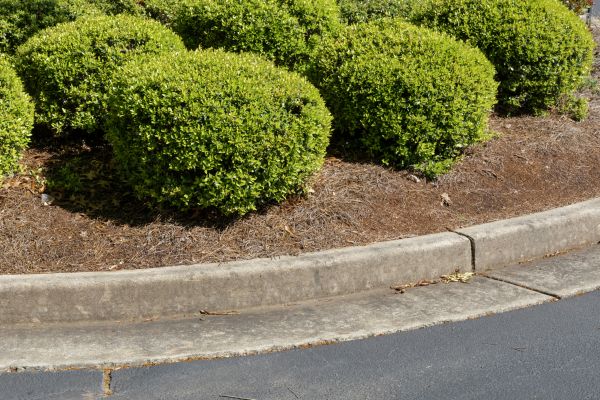 Pine Mulch Installation in Bend