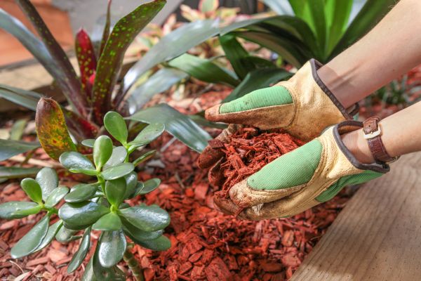 Cedar Mulch Installation in Bend